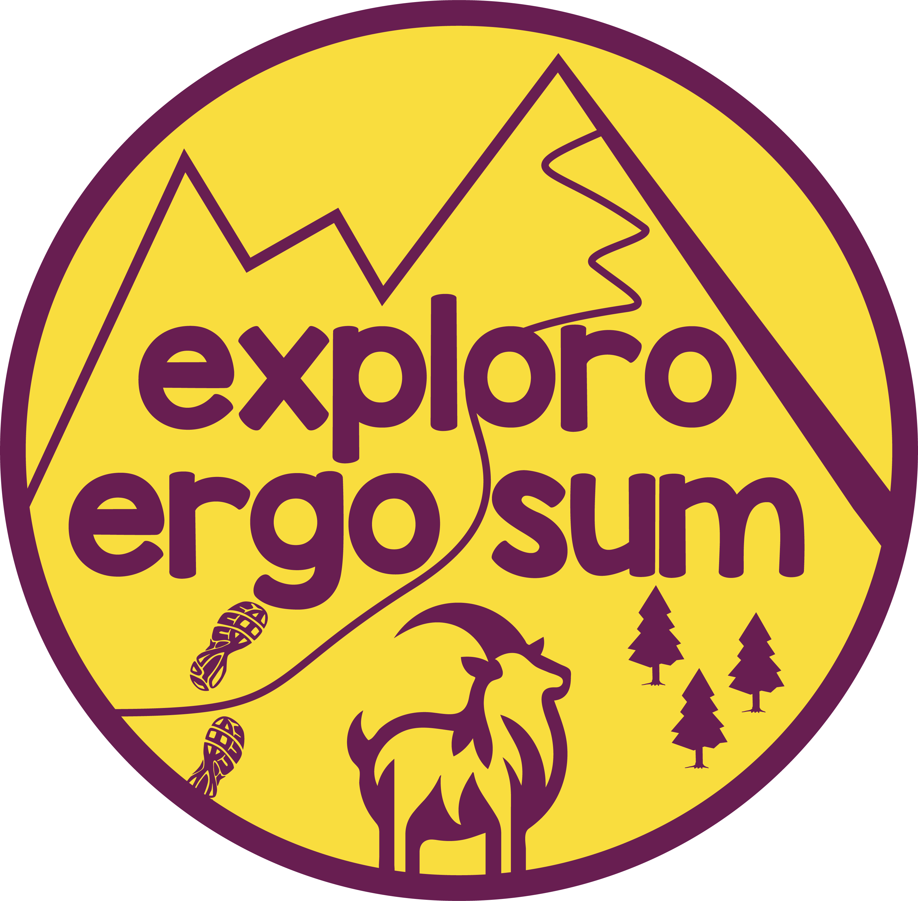 Exploro Ergo Sum, logo
